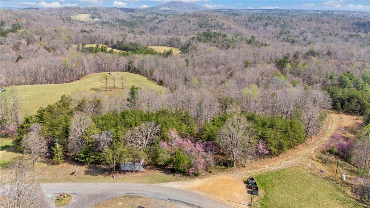 0 Knob Church Road Henry, VA 24102 - Photo 19 of 25 07-DJI_20260331111613_0030_D