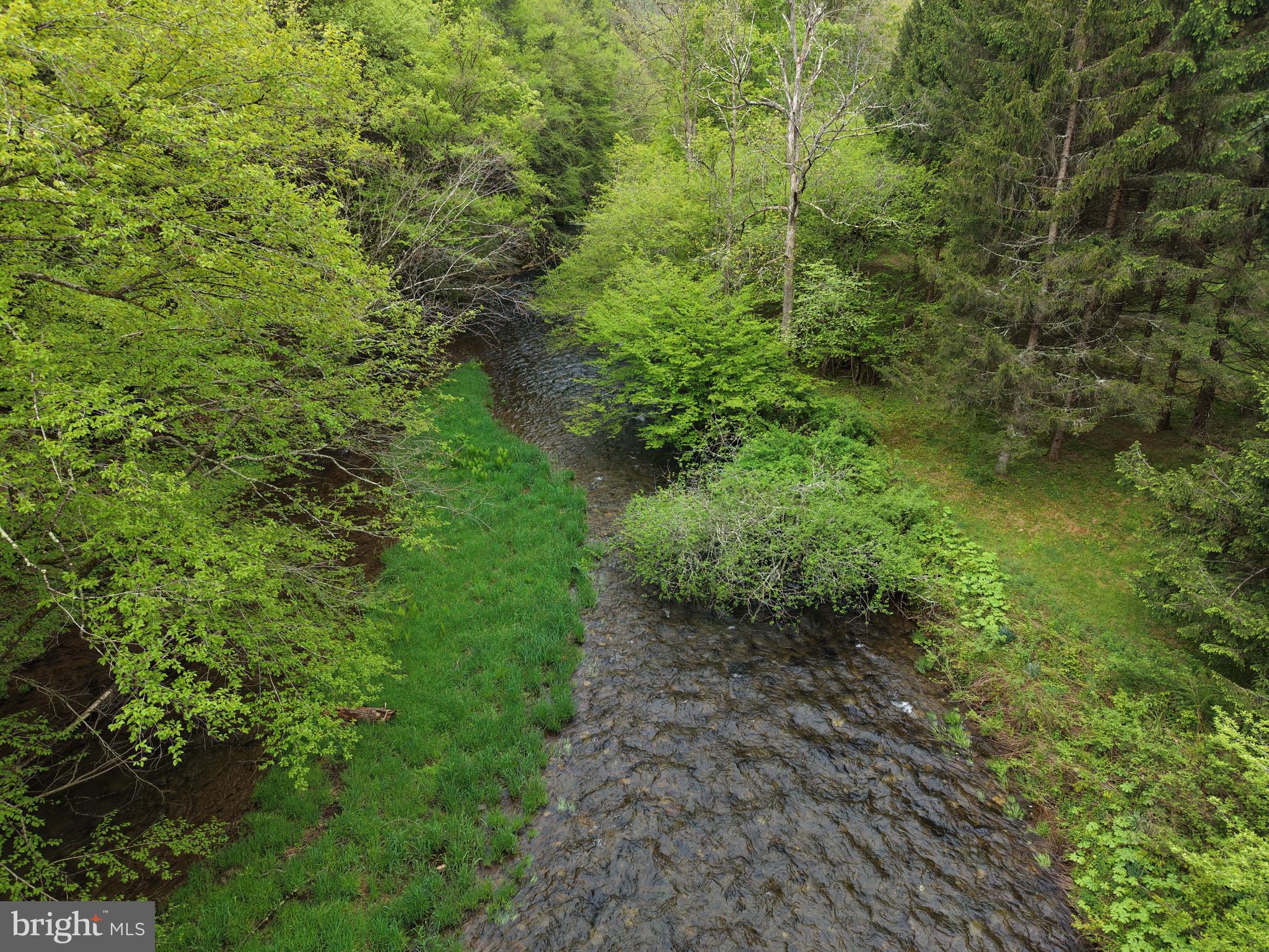 1227 Cross Fork Creek Road Cross Fork, PA 17729 - Photo 36 of 139