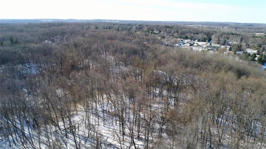 16-acres Blood Road Metamora, MI 48455 - Photo 5 of 8
