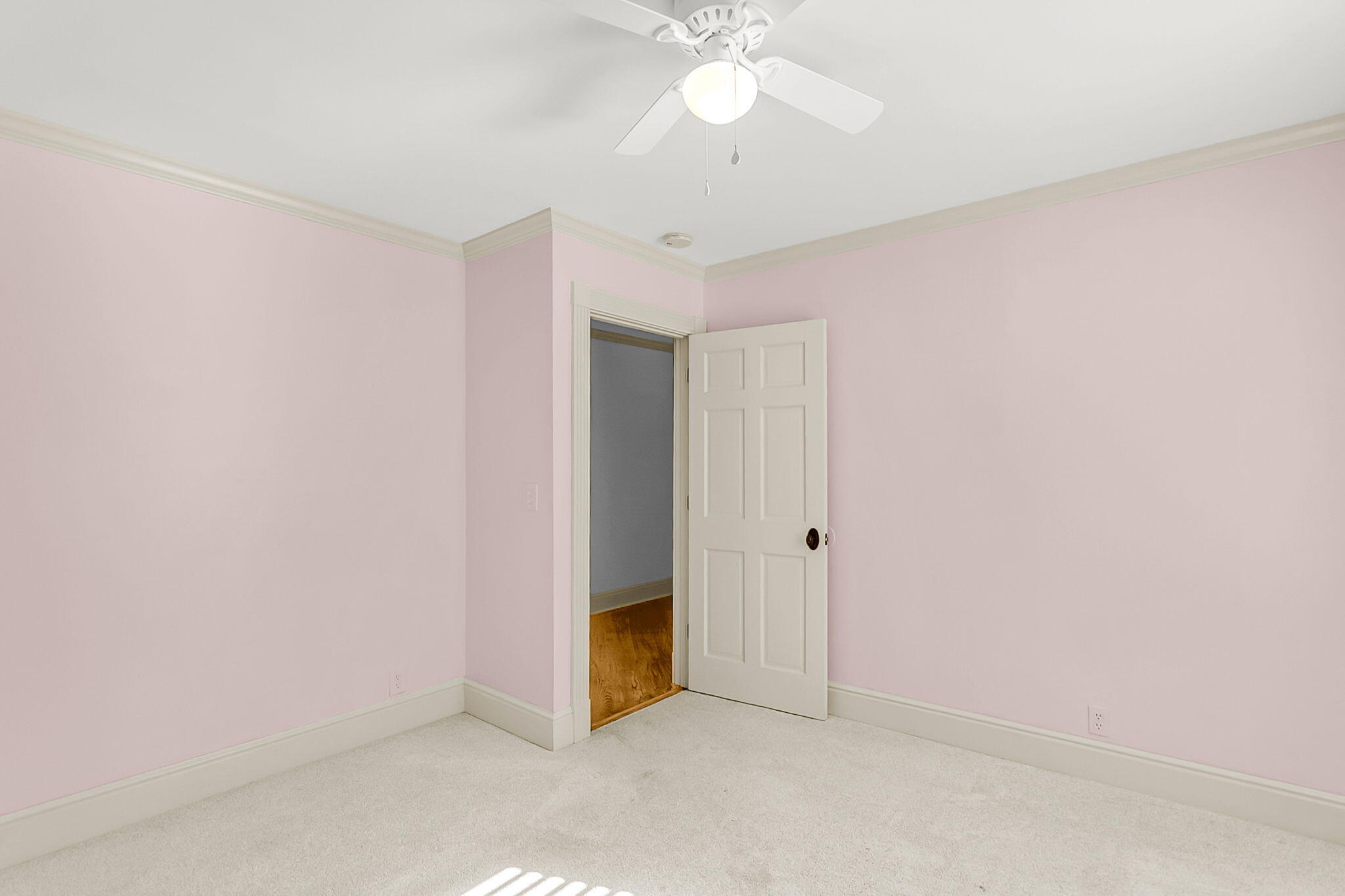 6911 Buckhorn Road Ravenel, SC 29470 - Photo 42 of 78 6911 Buckhorn Rd