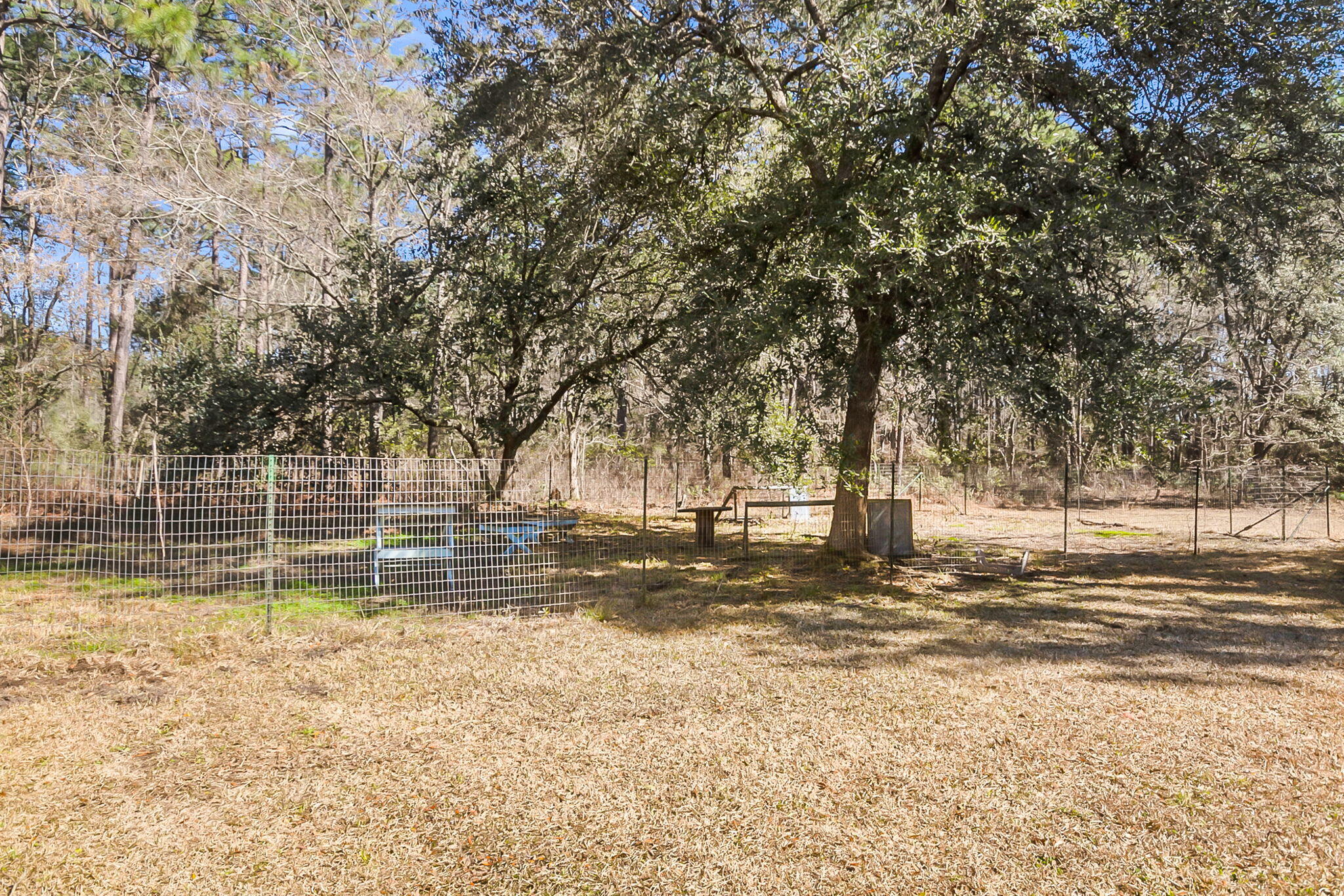 6911 Buckhorn Road Ravenel, SC 29470 - Photo 70 of 78 6911 Buckhorn Rd