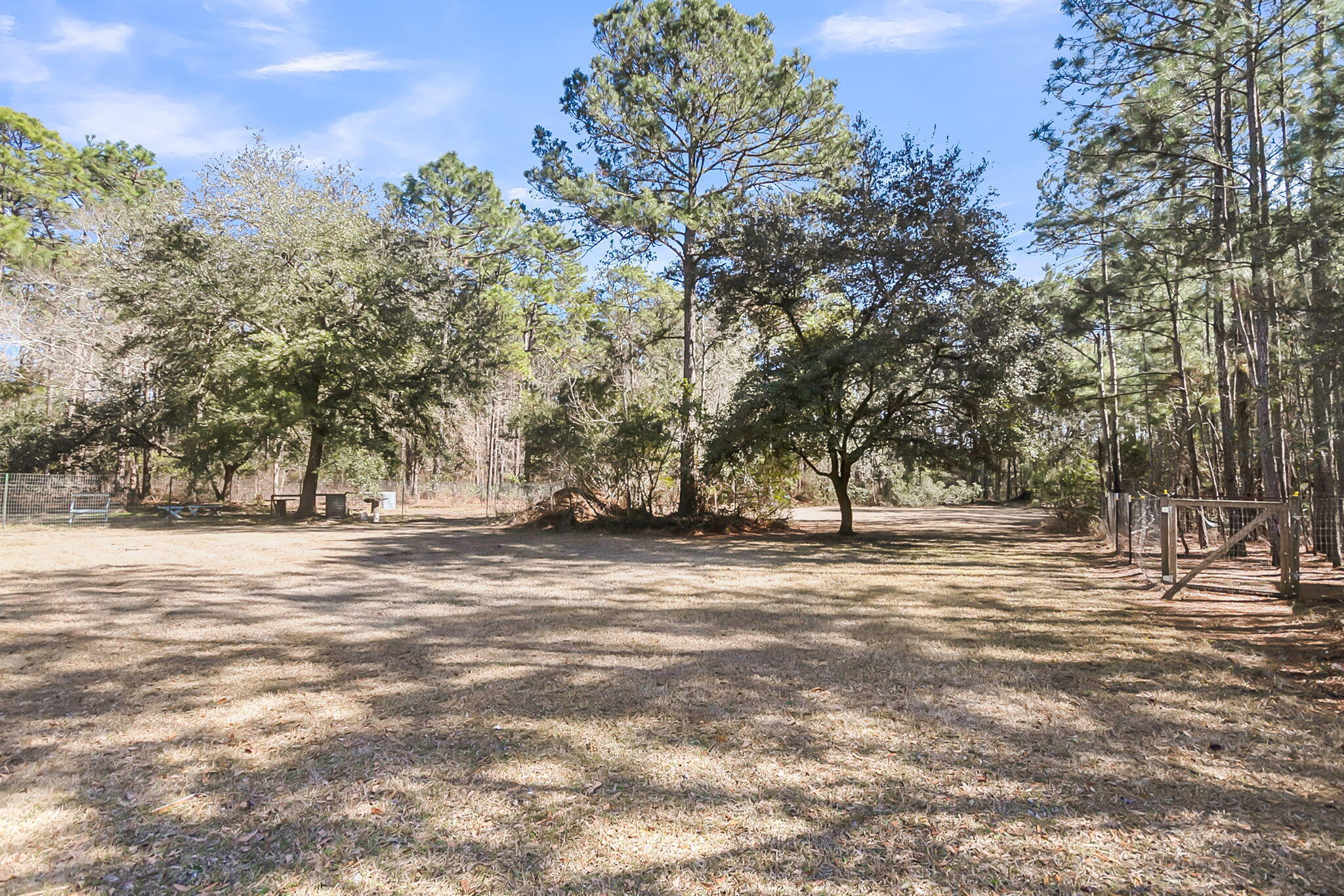 6911 Buckhorn Road Ravenel, SC 29470 - Photo 72 of 78 6911 Buckhorn Rd