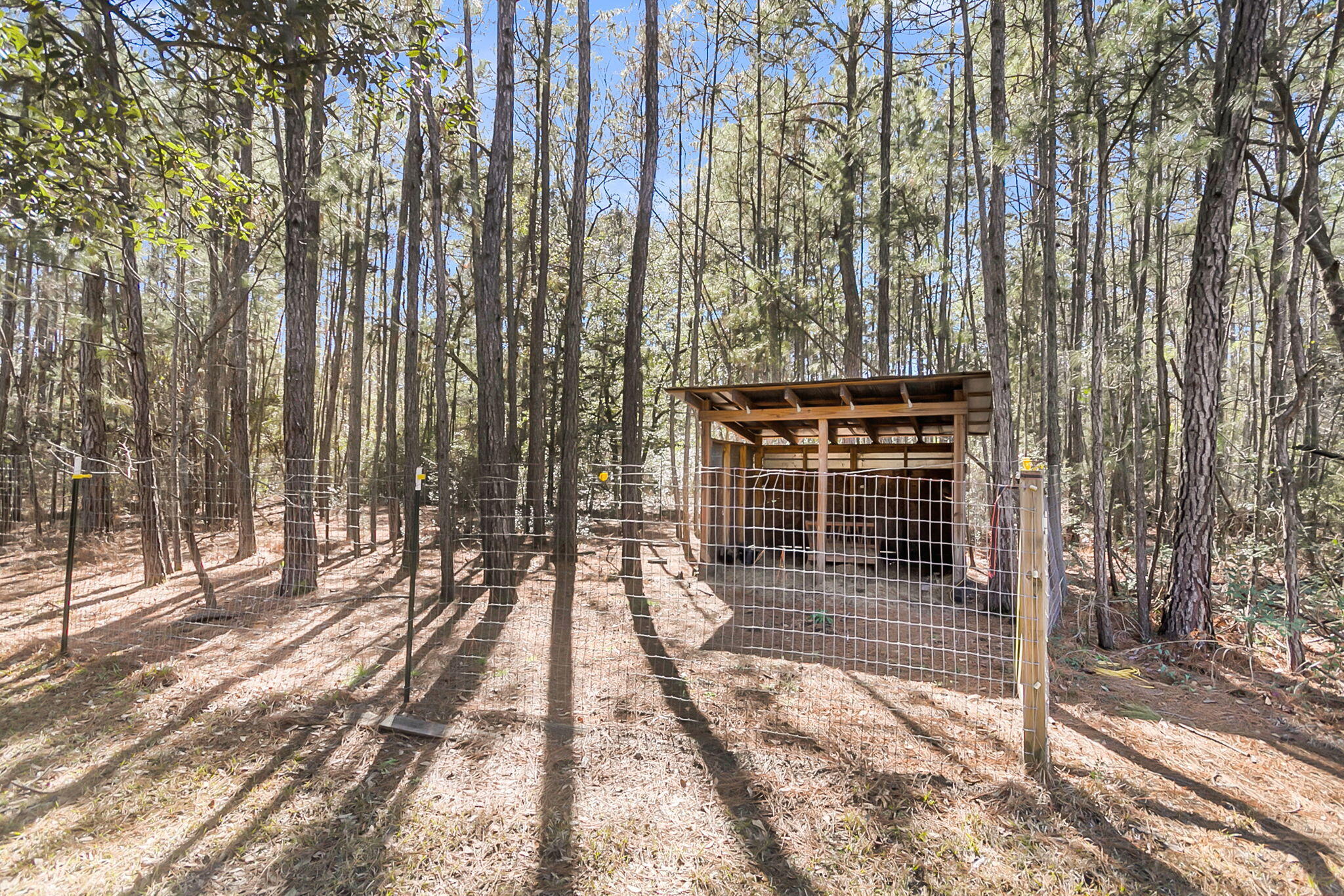 6911 Buckhorn Road Ravenel, SC 29470 - Photo 73 of 78 6911 Buckhorn Rd