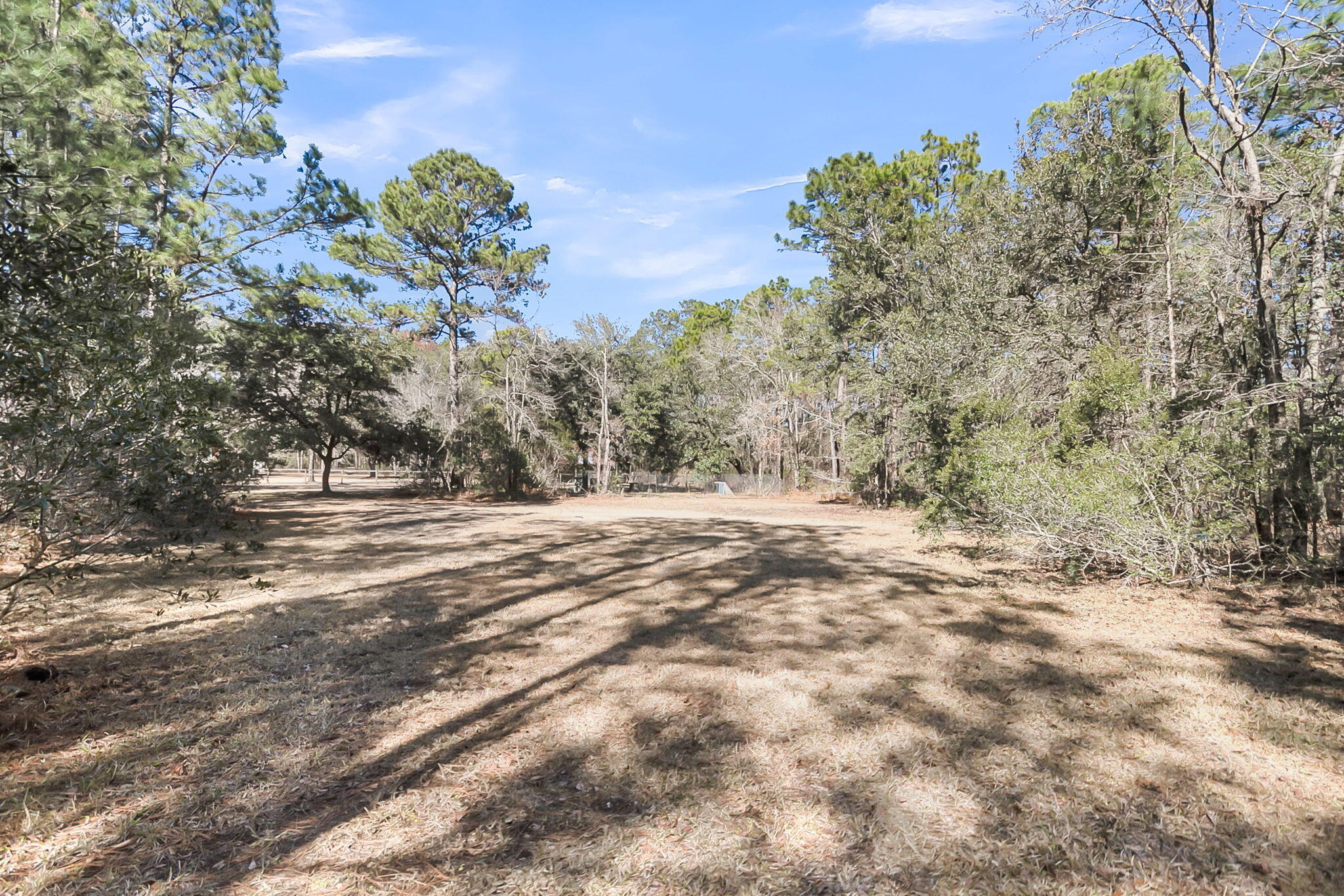 6911 Buckhorn Road Ravenel, SC 29470 - Photo 74 of 78 6911 Buckhorn Rd