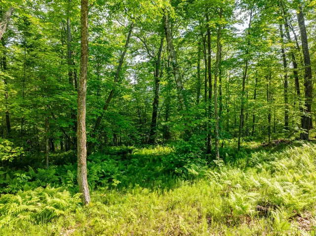 $164,900 | Tbd Willow Lake Drive, Cohasset, MN 55721