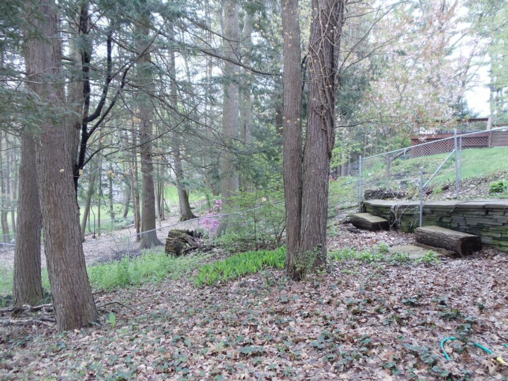 285 Ridgefield Road Endicott, NY 13760 - Photo 4 of 19 Gallery Image 4