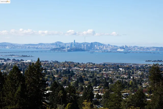 a living room with furniture flowerpot and window