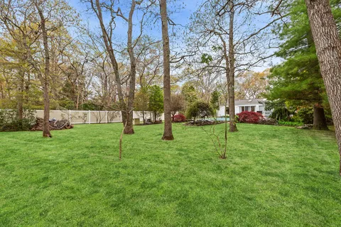 a view of yard with trees
