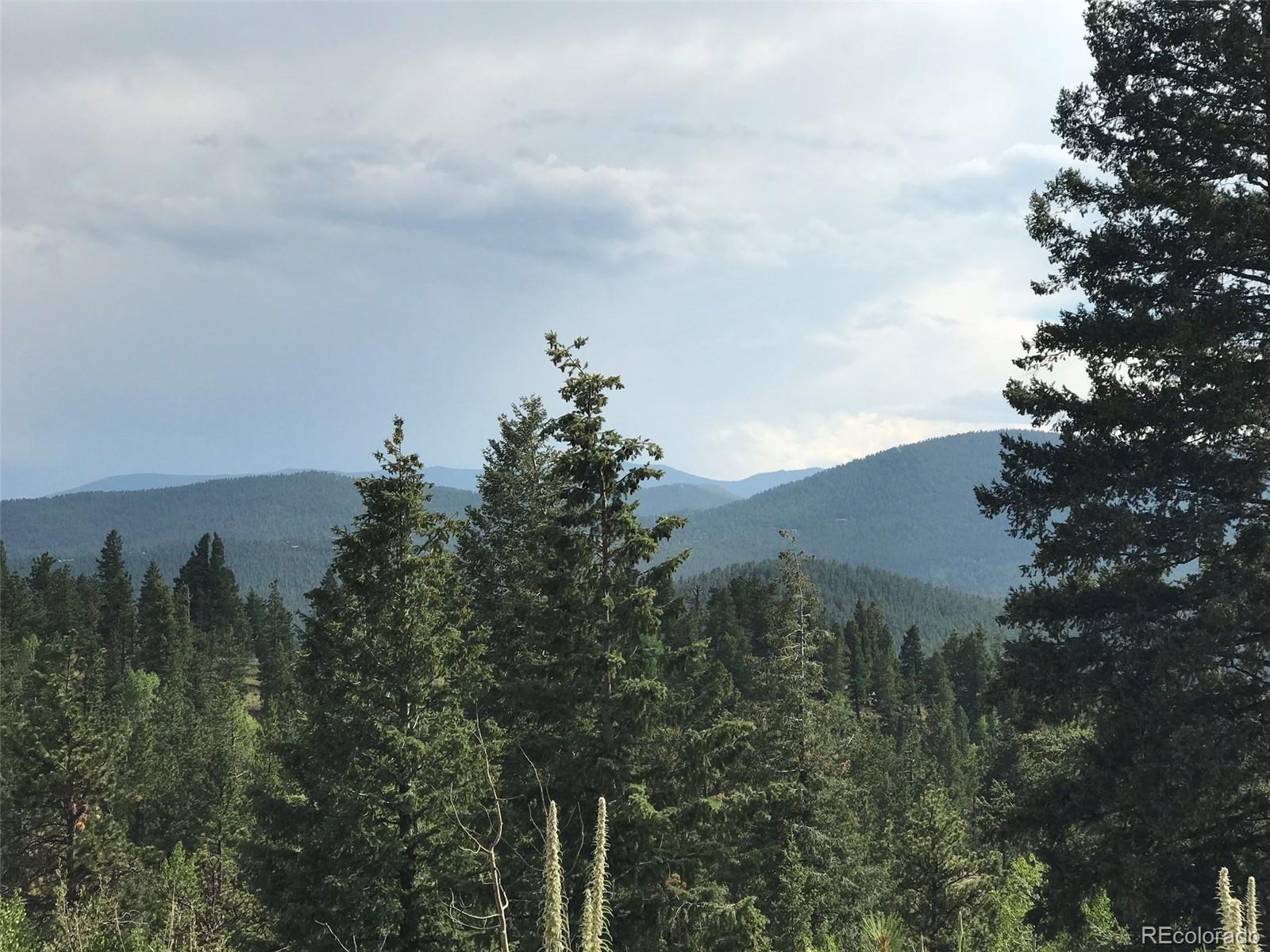 1044 Tapadero Road Bailey, CO 80421 - Photo 23 of 34 Gallery Image 23
