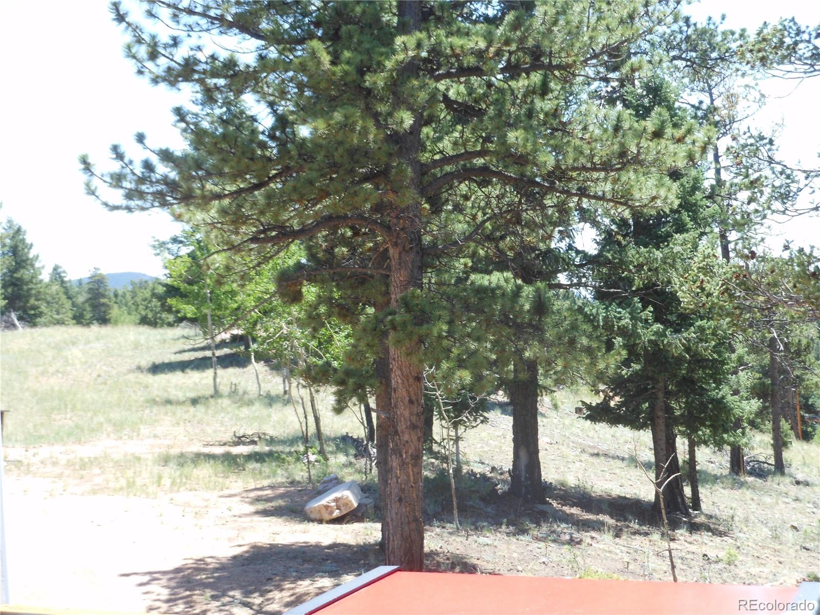 1044 Tapadero Road Bailey, CO 80421 - Photo 27 of 34 Gallery Image 27