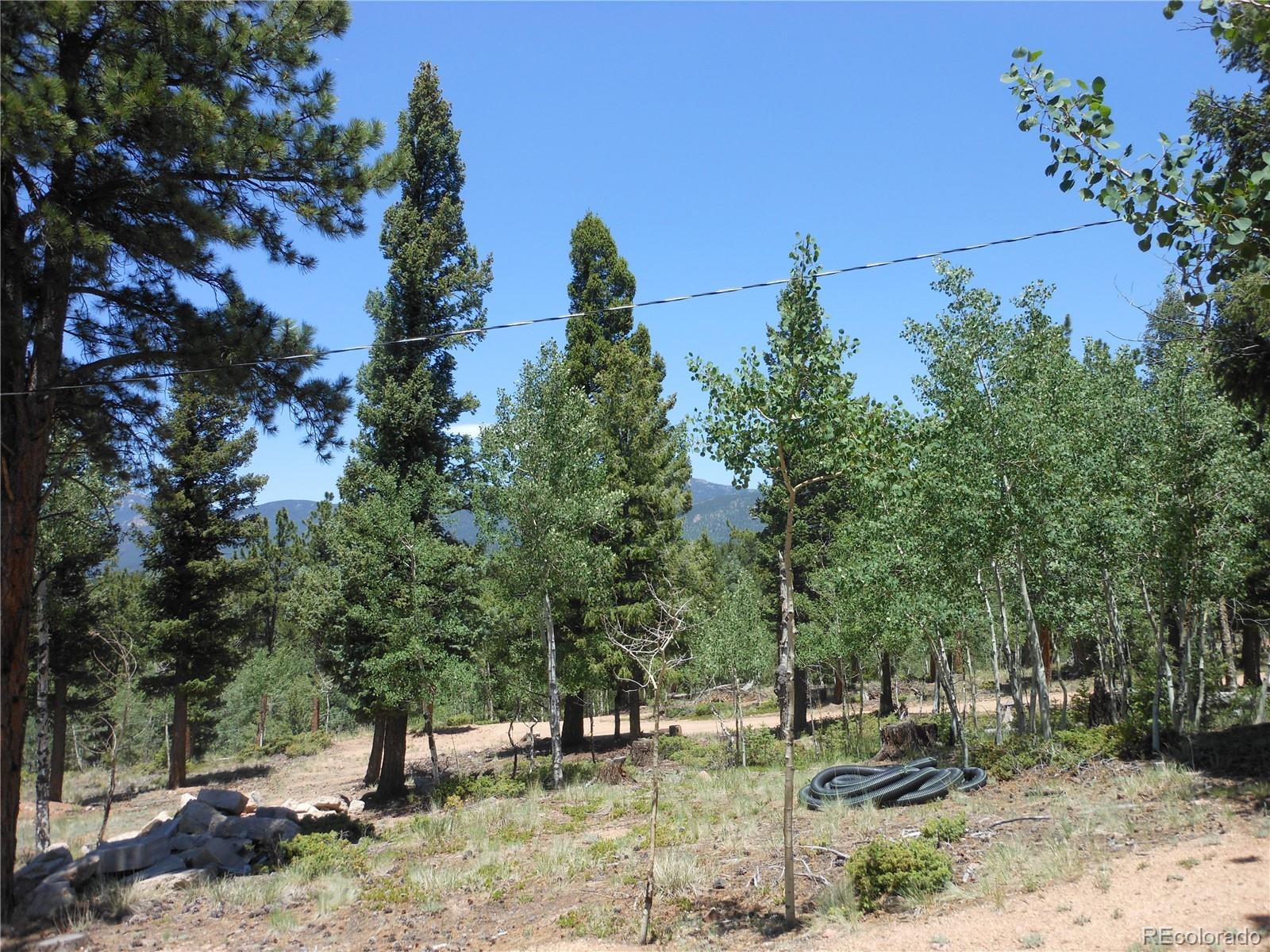1044 Tapadero Road Bailey, CO 80421 - Photo 33 of 34 Gallery Image 33