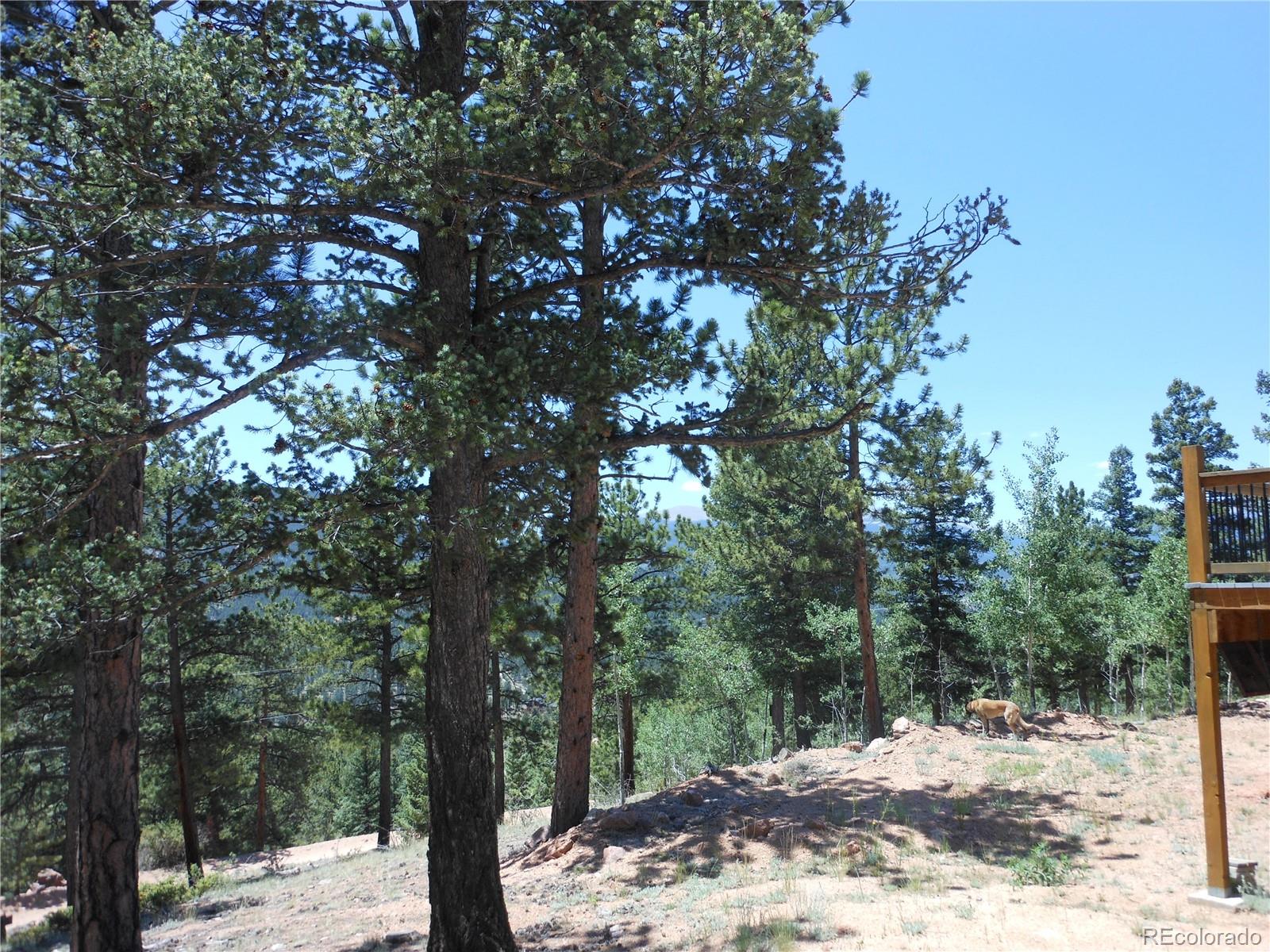 1044 Tapadero Road Bailey, CO 80421 - Photo 34 of 34 Gallery Image 34