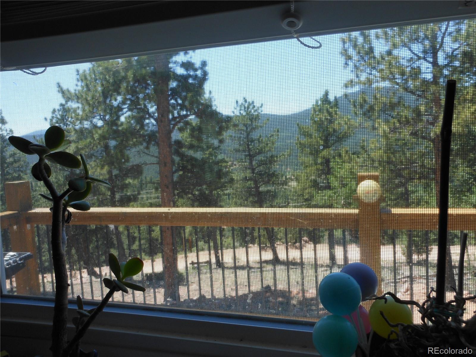 1044 Tapadero Road Bailey, CO 80421 - Photo 9 of 34 Gallery Image 9
