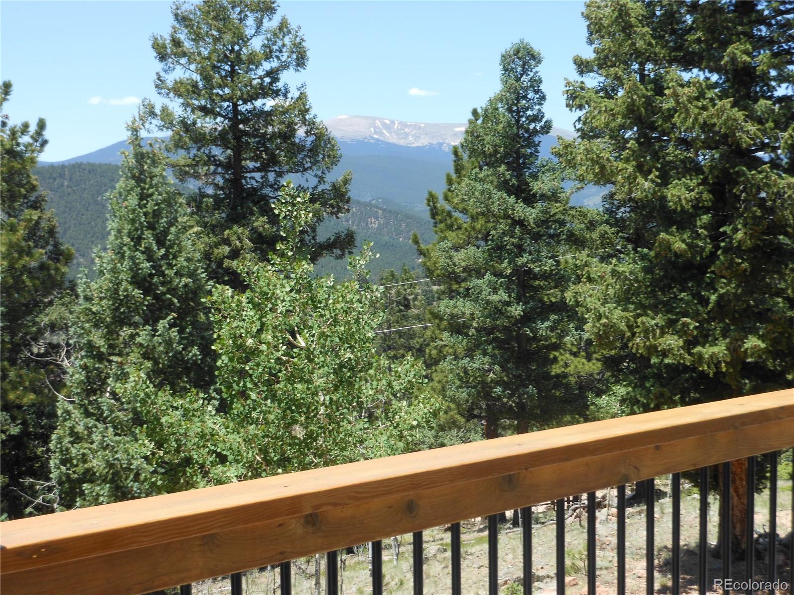 1044 Tapadero Road Bailey, CO 80421 - Photo 10 of 34 Gallery Image 10