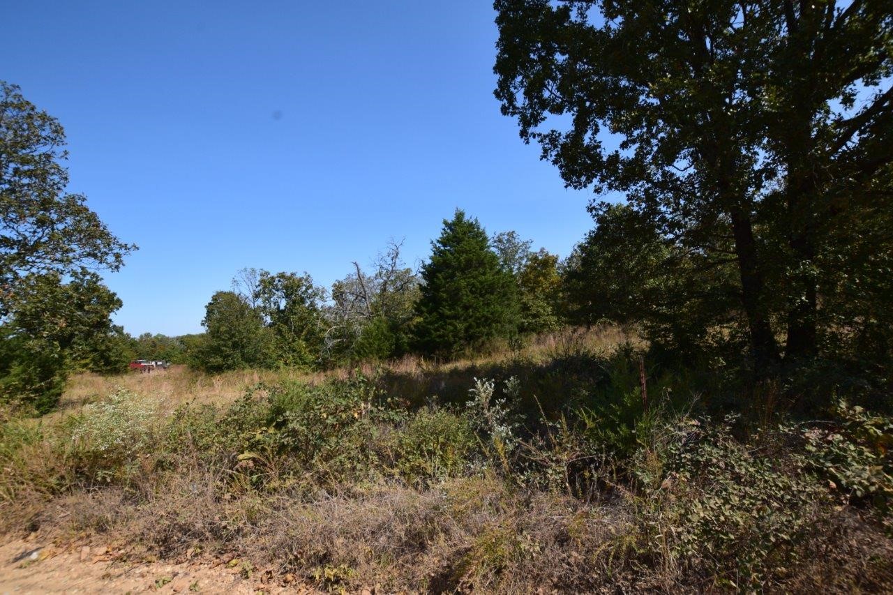 98755 South 4683 Road Sallisaw, OK 74955 - Photo 6 of 11 Gallery Image 6