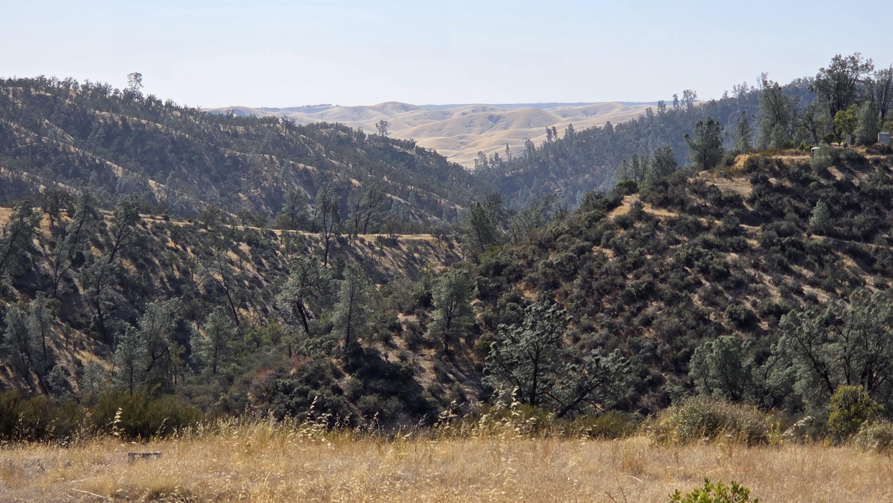 Lot 64 Gogo Road Igo, CA 96047 - Photo 18 of 36 20260916_101422