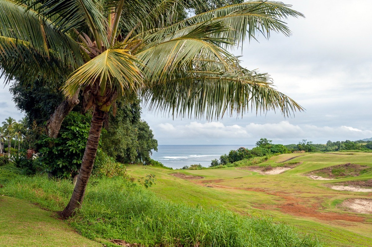 3880 Wyllie Road, Unit 1A Princeville, HI 96722 - Photo 20 of 22 a view of beach and palm tree