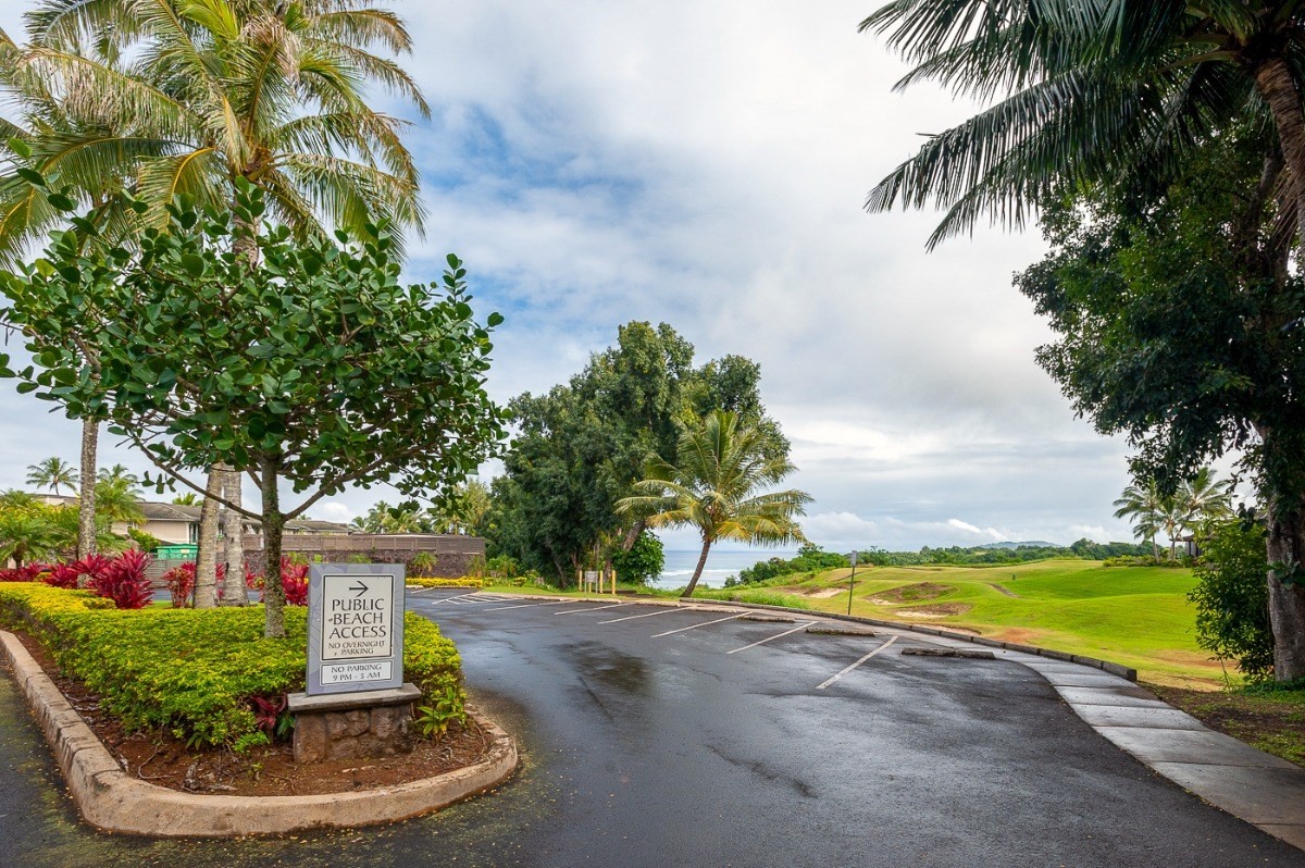 3880 Wyllie Road, Unit 1A Princeville, HI 96722 - Photo 21 of 22 a view of a yard with a fountain and a plants