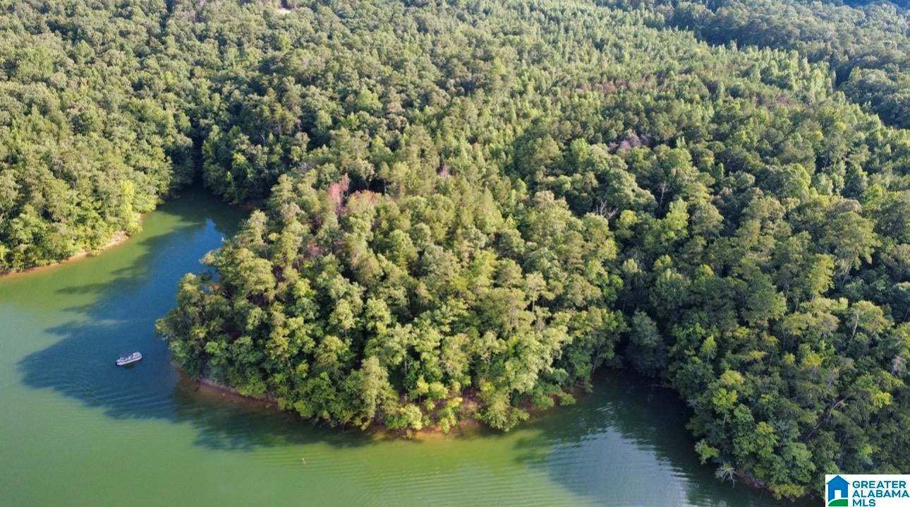 111 Quiet Cove Road Jasper, AL 35503 - Photo 26 of 28 Gallery Image 26