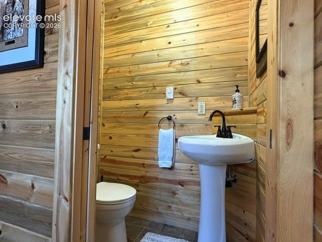 269 Southpark Road Florissant, CO 80816 - Photo 19 of 37