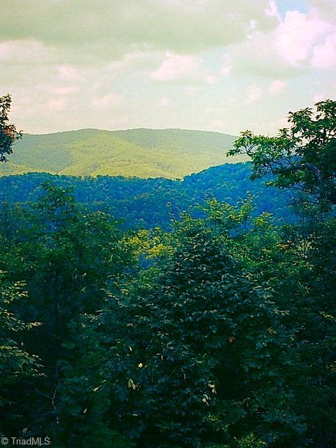 386 Hickory Hollow Road Purlear, NC 28665 - Photo 27 of 28 Beautiful View
