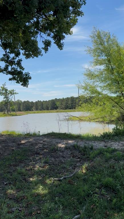 720 Haggerty Road Karnack, TX 75661 - Photo 7 of 39 a view of a lake with houses in the background