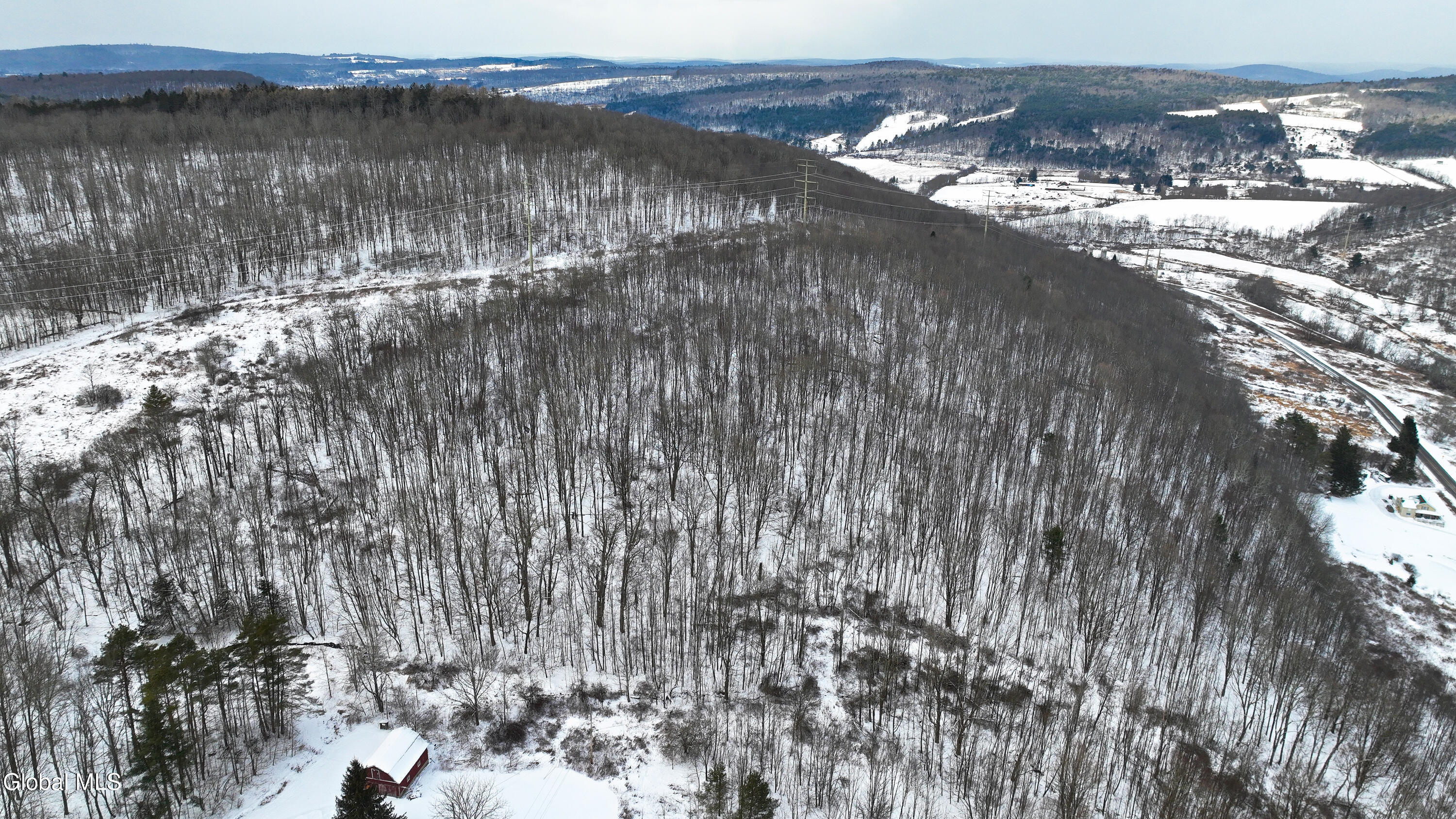 14 County Highway 14 Franklin, NY 13775 - Photo 6 of 12 County Highway 14 - Franklin NY - 13775-