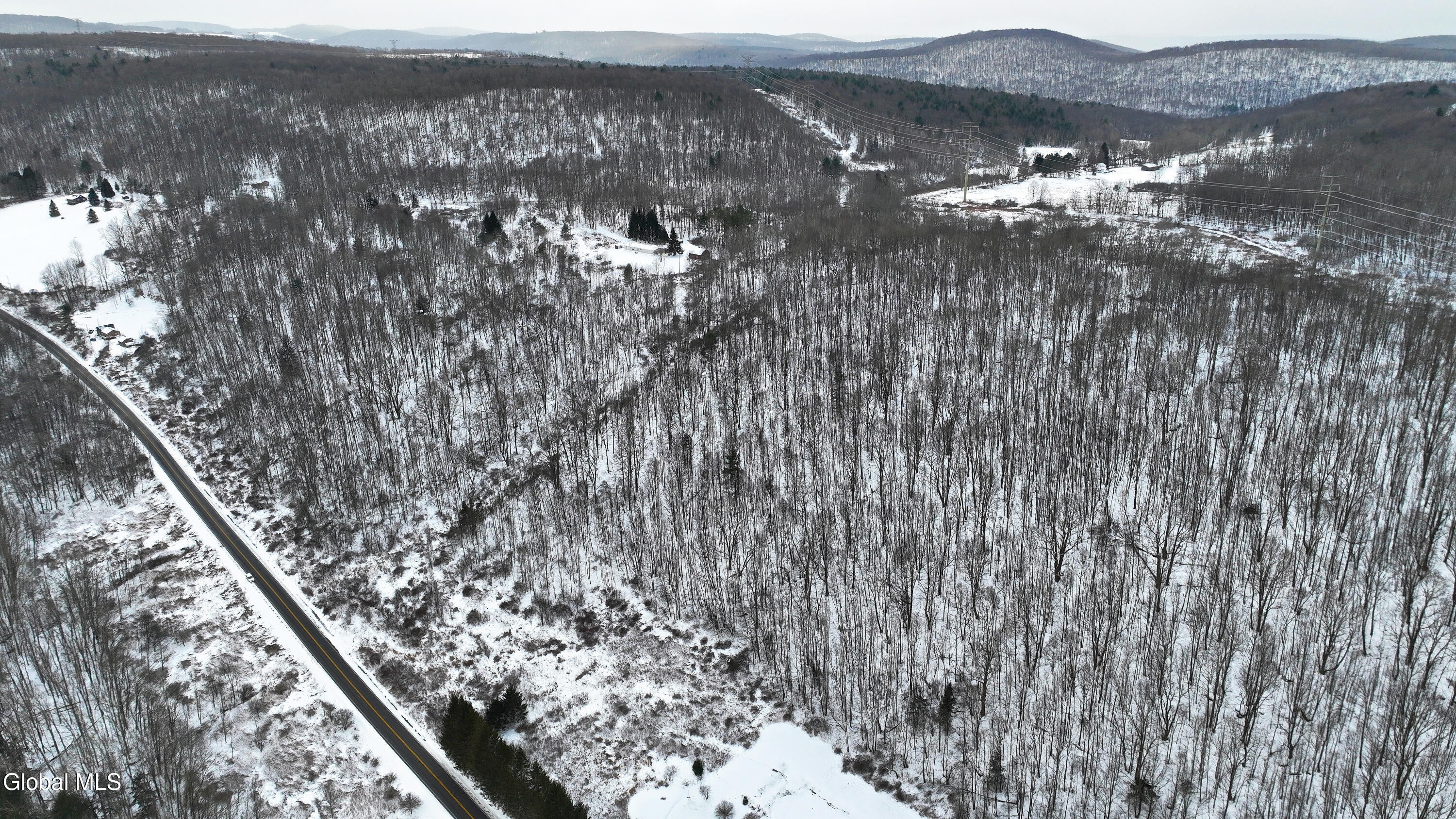 14 County Highway 14 Franklin, NY 13775 - Photo 10 of 12 County Highway 14 - Franklin NY - 13775-