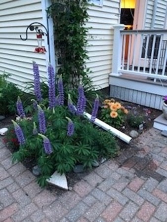 7 Balian Way Milford, MA 01757 - Photo 38 of 40