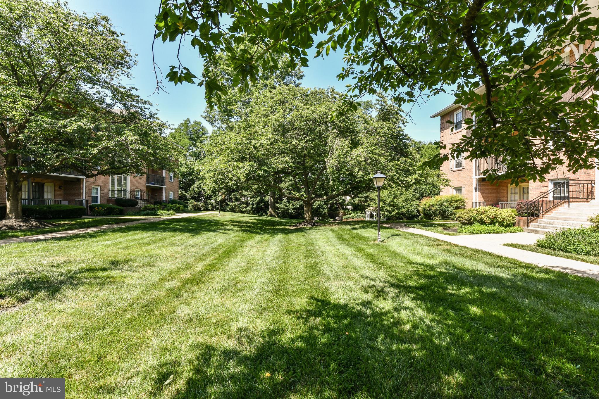 3336 Spring Lane, Unit A44 Falls Church, VA 22041 - Photo 27 of 41 Lots of community green space