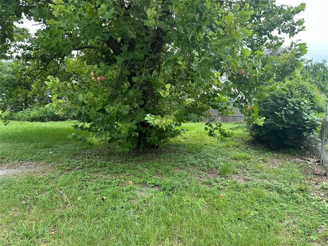 a view of a lush green forest