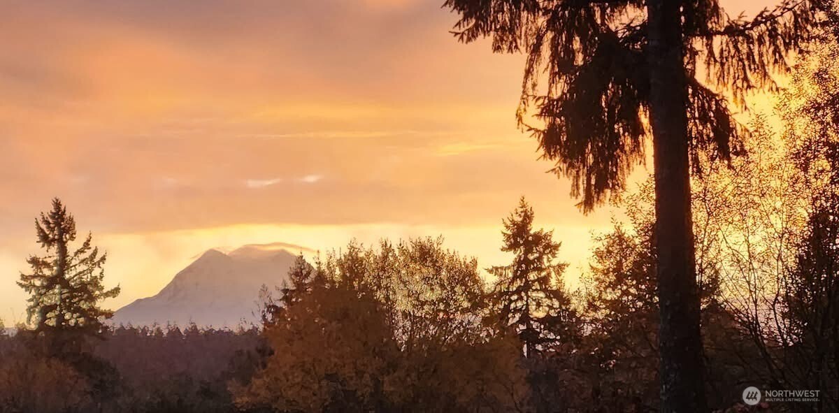 1546 Reservation Road Southeast, Unit 248 Olympia, WA 98513 - Photo 29 of 29 a view of mountain view with lots of trees