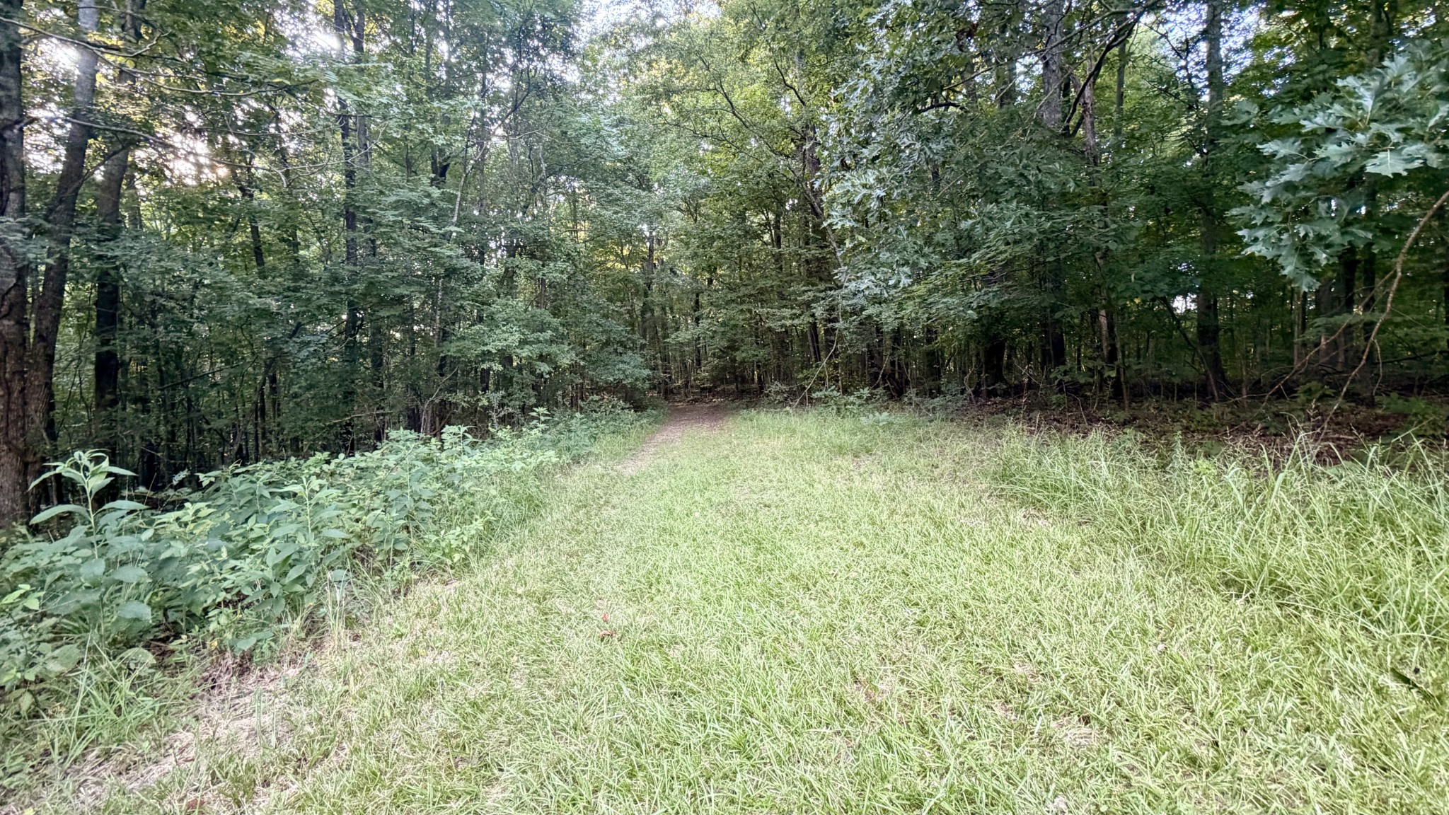 309 Charley Davis Road Goodspring, TN 38460 - Photo 9 of 9