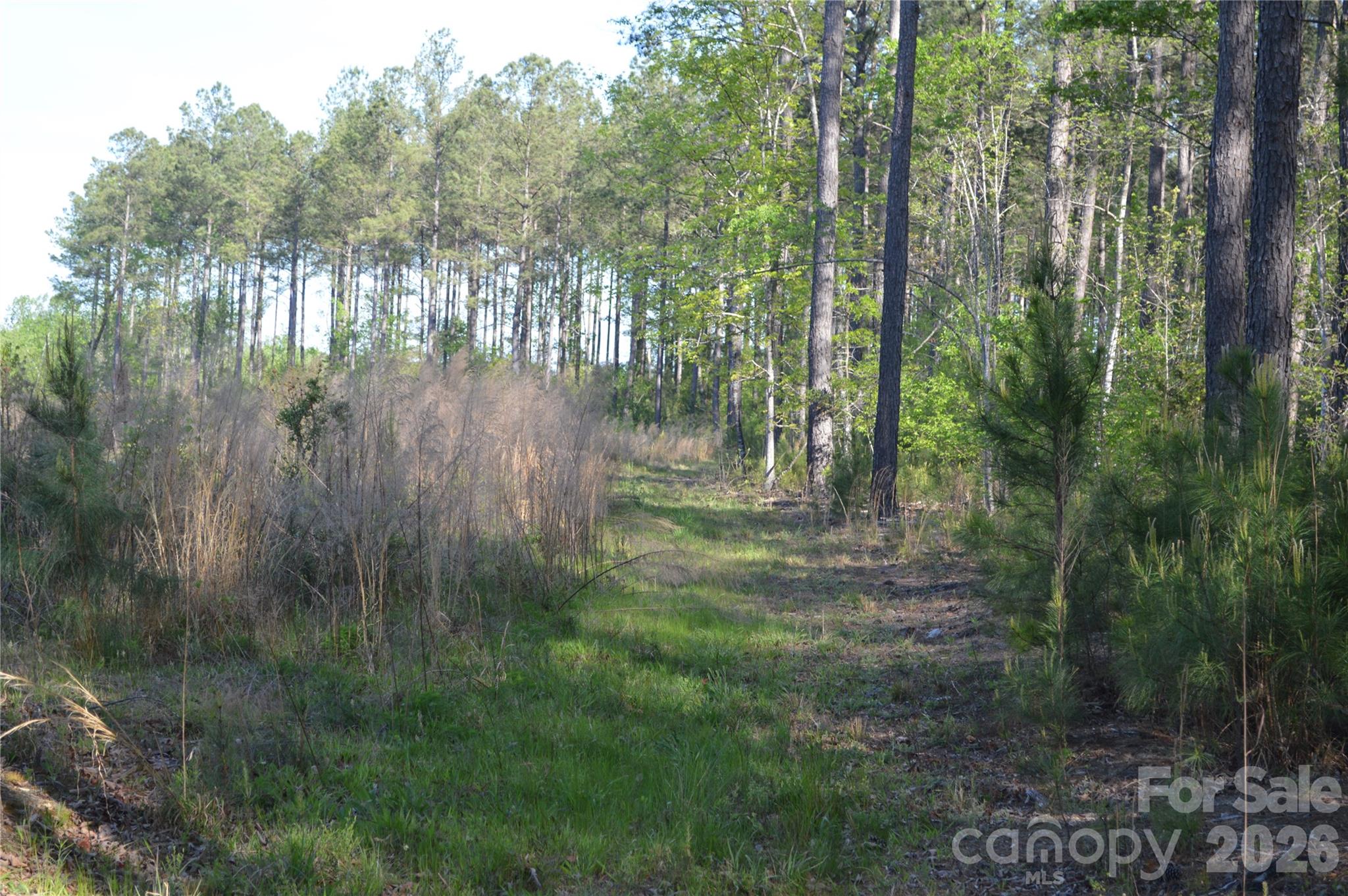0 Peter Hawk Creek Road, Unit 11 Jonesville, SC 29353 - Photo 11 of 23 a backyard of a house with lots of green space