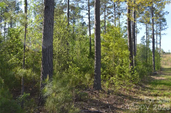 $140,000 | 0 Peter Hawk Creek Road, Unit 11, Jonesville, SC 29353