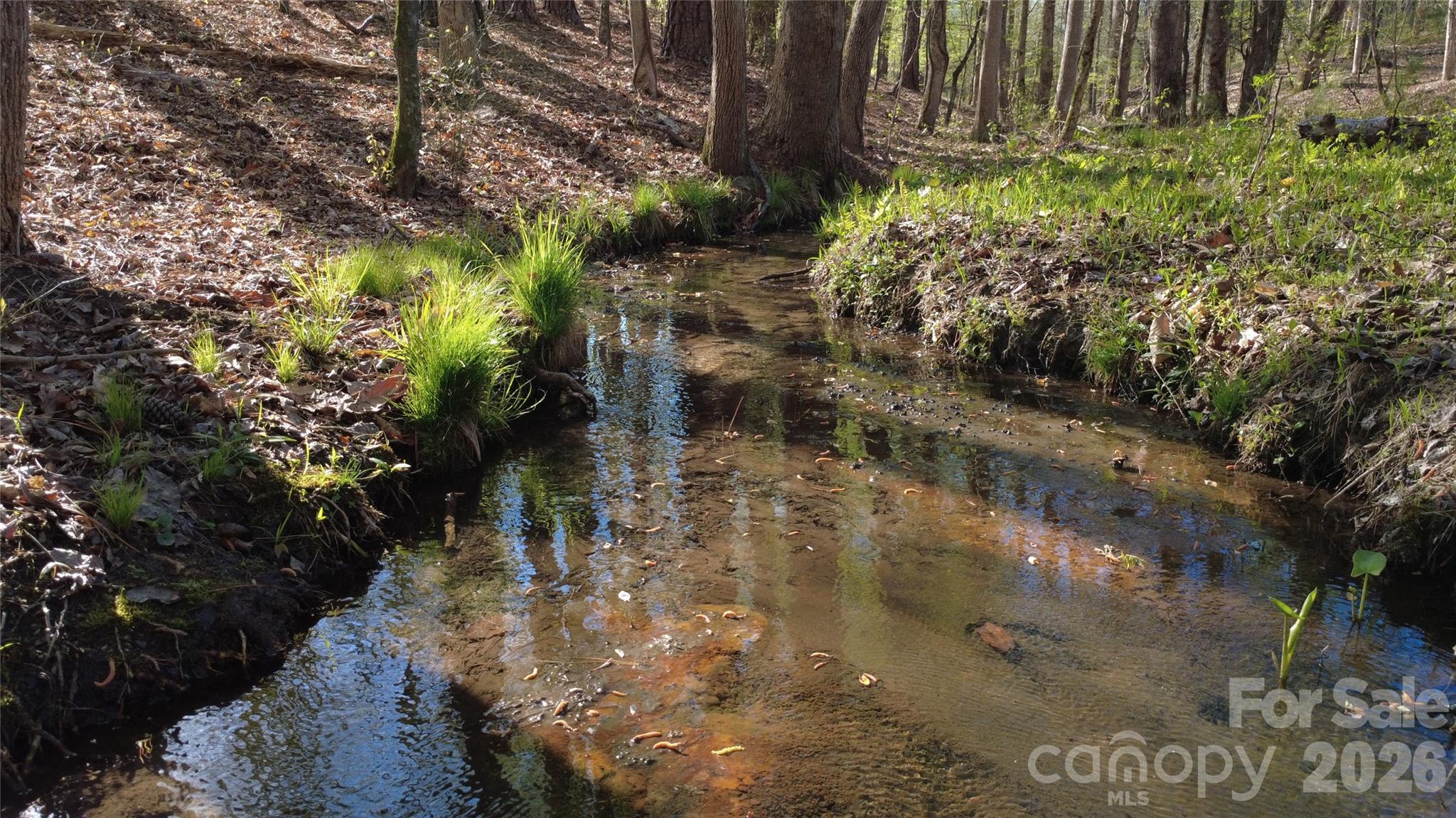 0 Peter Hawk Creek Road, Unit 11 Jonesville, SC 29353 - Photo 4 of 22