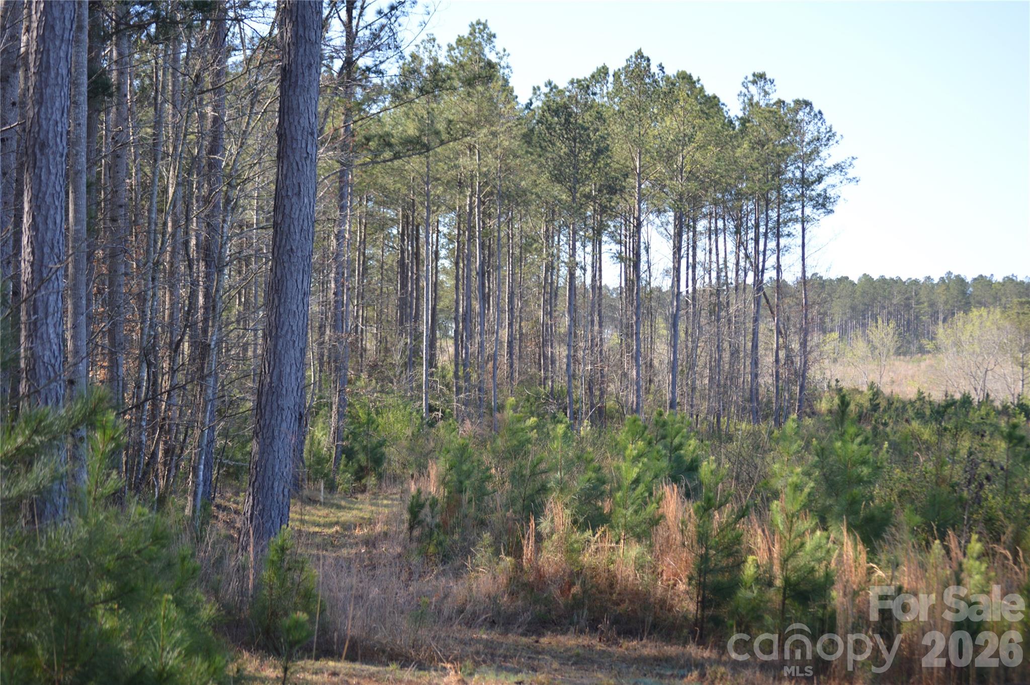 0 Peter Hawk Creek Road, Unit 11 Jonesville, SC 29353 - Photo 5 of 23 a view of a garden