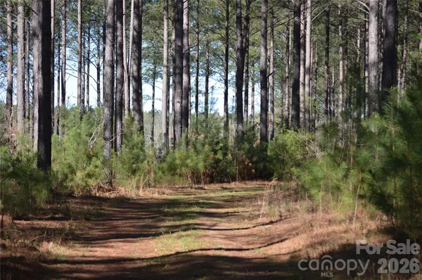 $140,000 | 0 Peter Hawk Creek Road, Unit 11, Jonesville, SC 29353