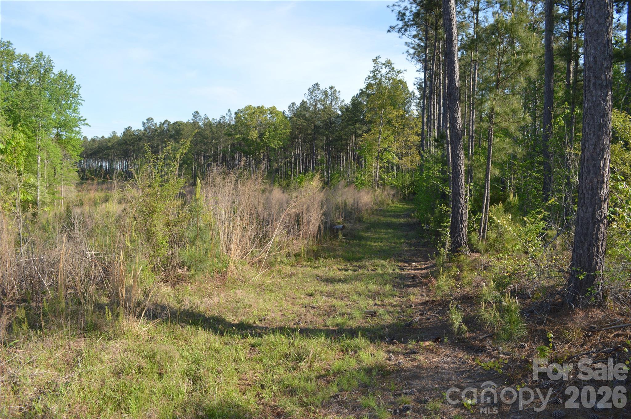 0 Peter Hawk Creek Road, Unit 11 Jonesville, SC 29353 - Photo 8 of 23 a view of lake with green space