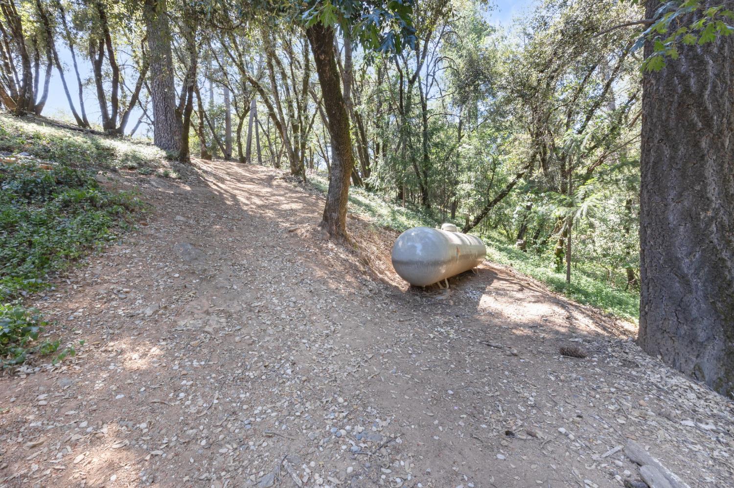 1392 Oak Ridge Drive Colfax, CA 95713 - Photo 39 of 44