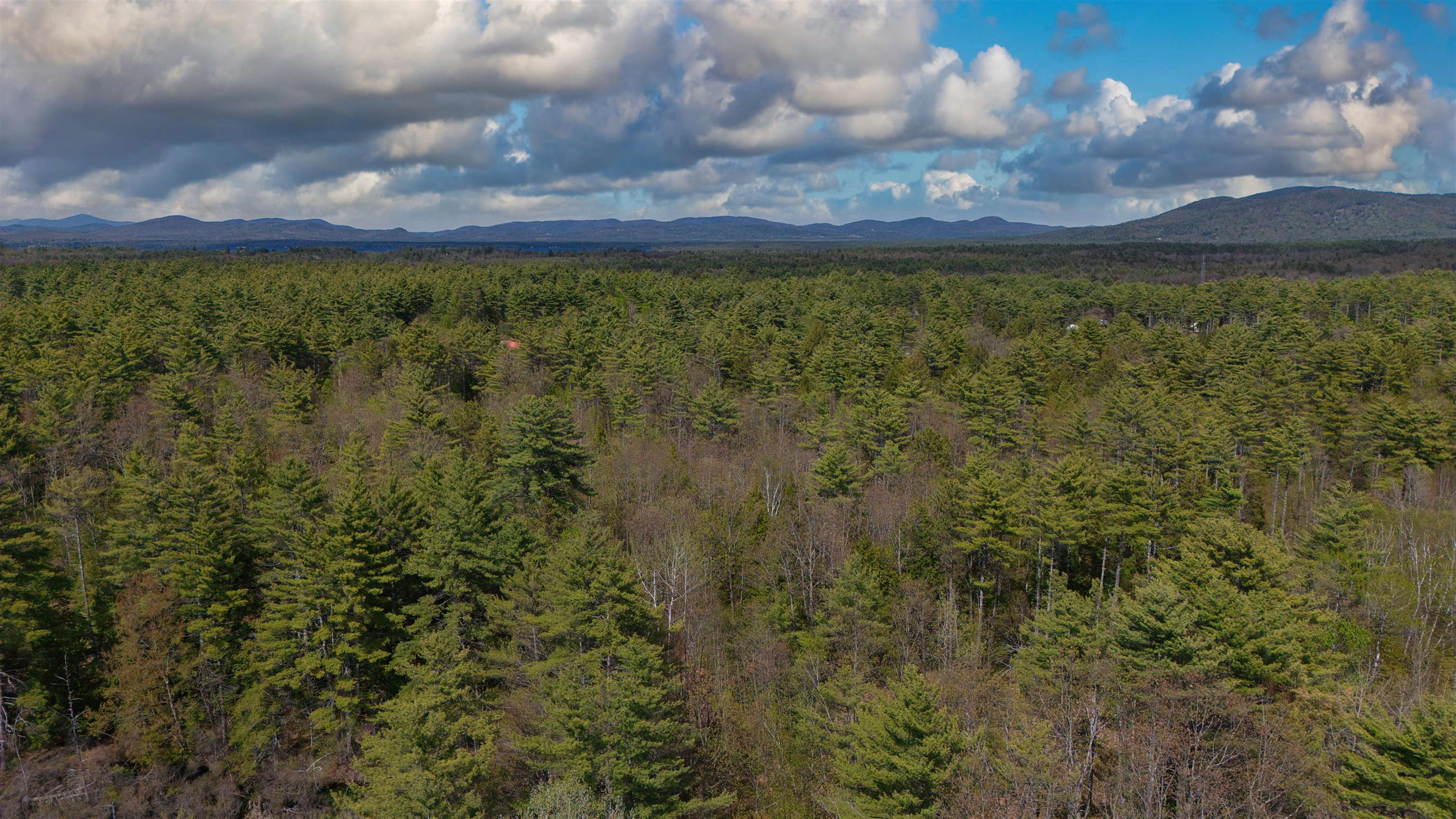 Lot 27.2 Dorrs Corner Road Ossipee, NH 03864 - Photo 5 of 9