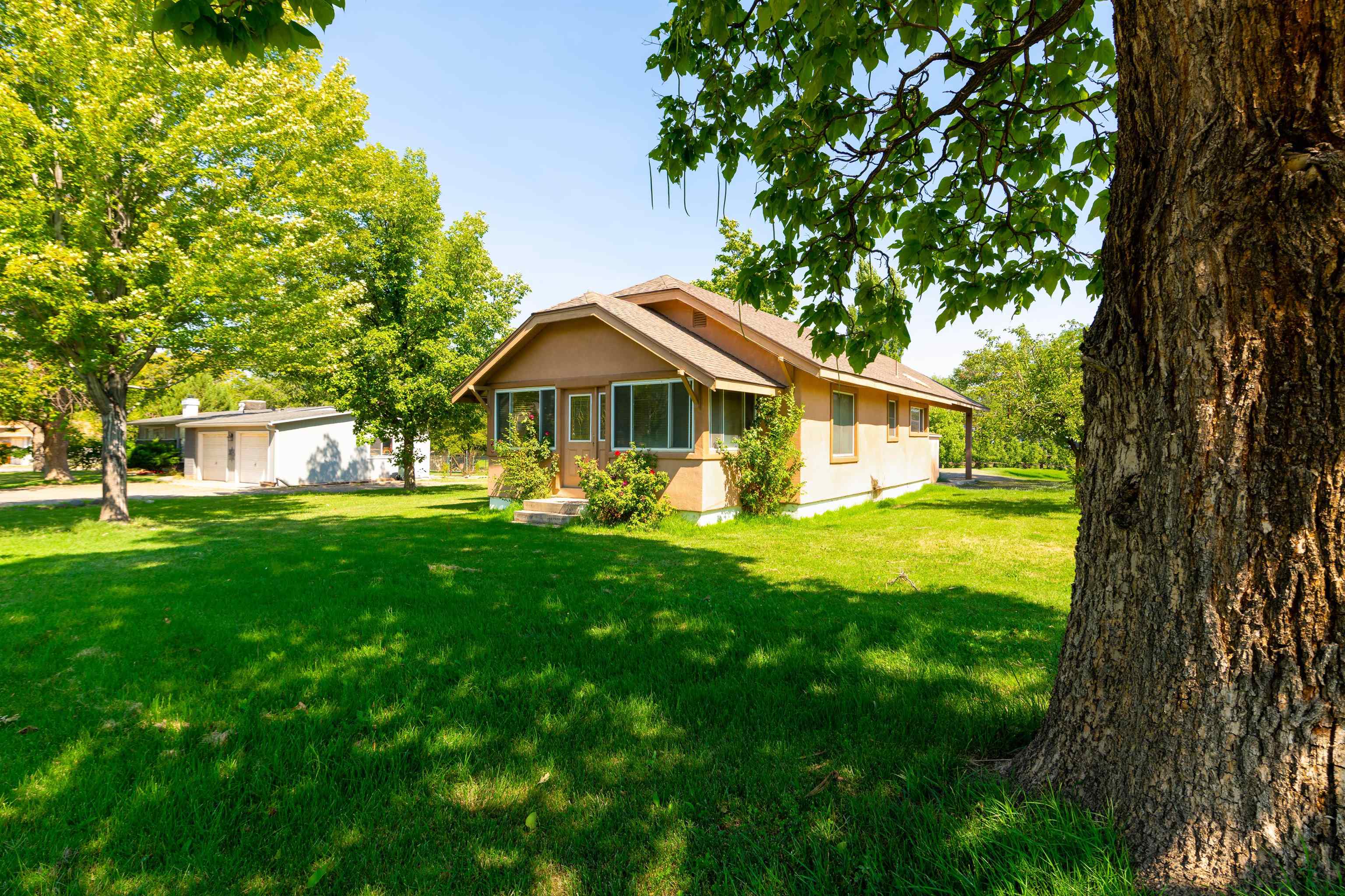 2738 Patterson Road Grand Junction, CO 81506 - Photo 2 of 34