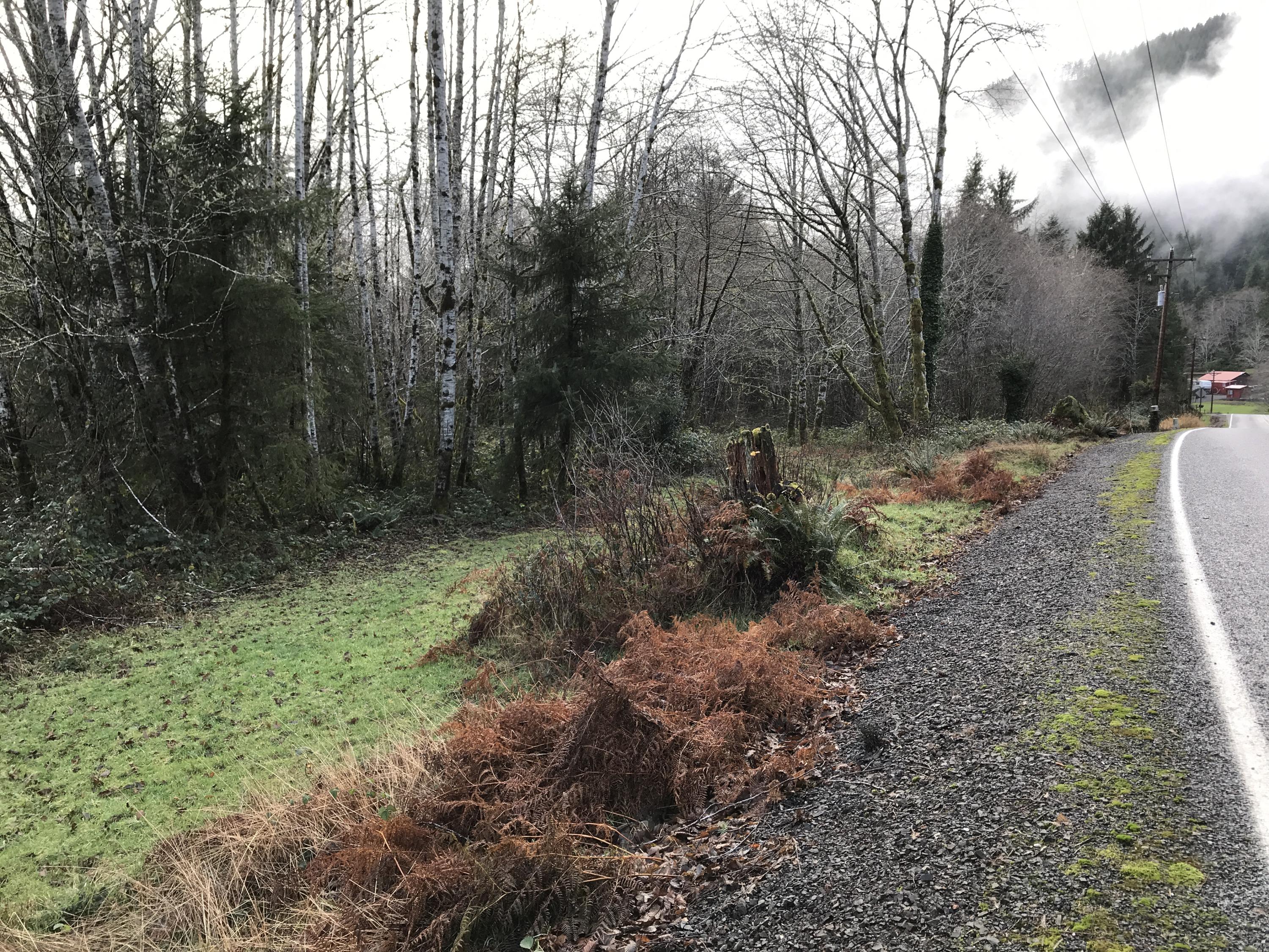 V/l Miami Foley Road Nehalem, OR 97131 - Photo 16 of 21 Street view