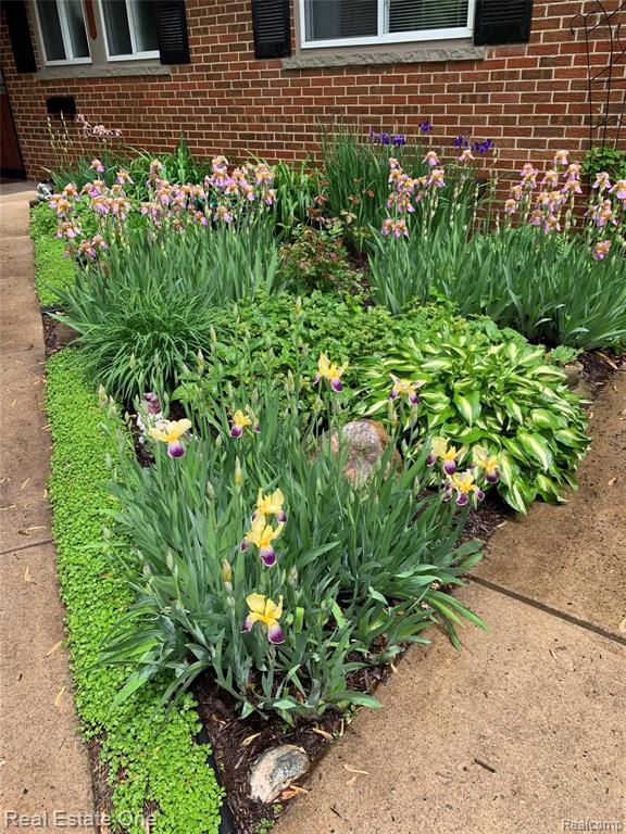 23374 Tuck Road Farmington Hills, MI 48336 - Photo 3 of 26