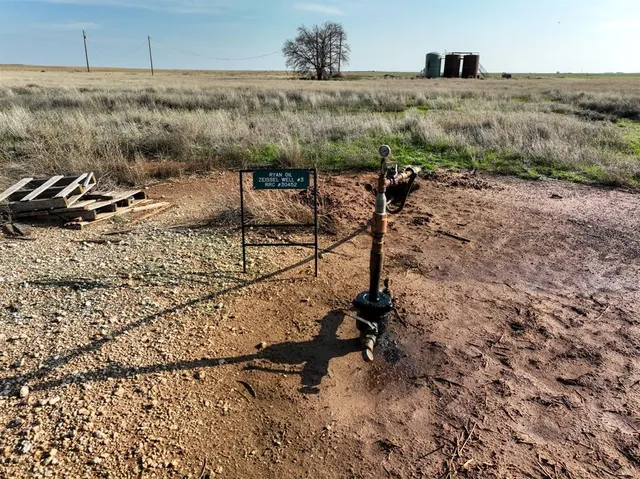 a view of a garden with lawn chairs