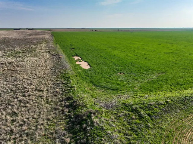a view of a field with an ocean
