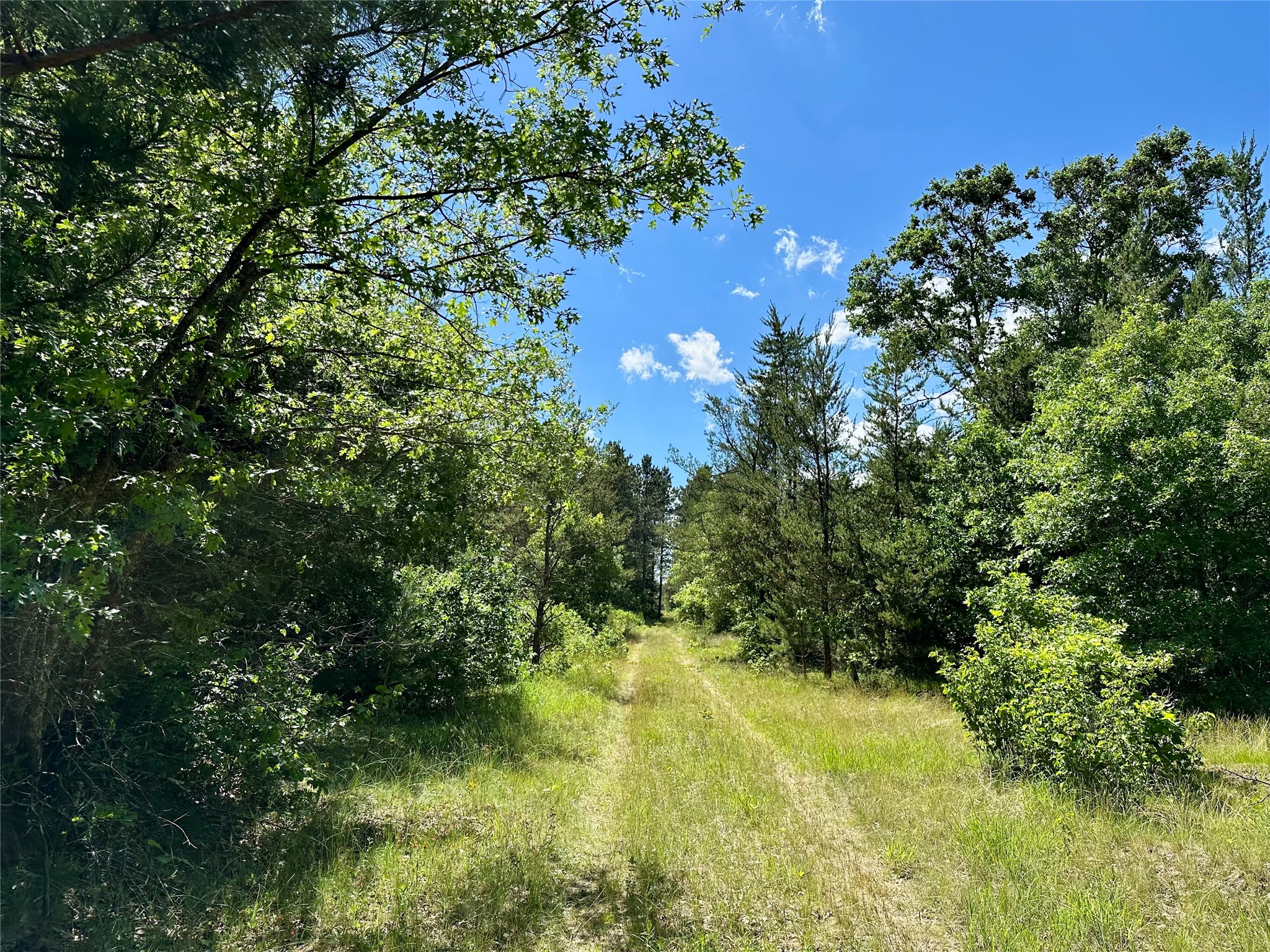 E20244 Cty Road Augusta, WI 54722 - Photo 16 of 27