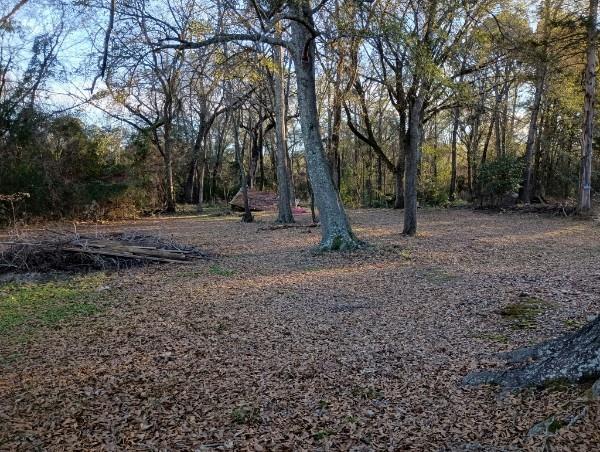 0 Standard Oil Road Shreveport, LA 71108 - Photo 12 of 12 a view of a yard with a tree