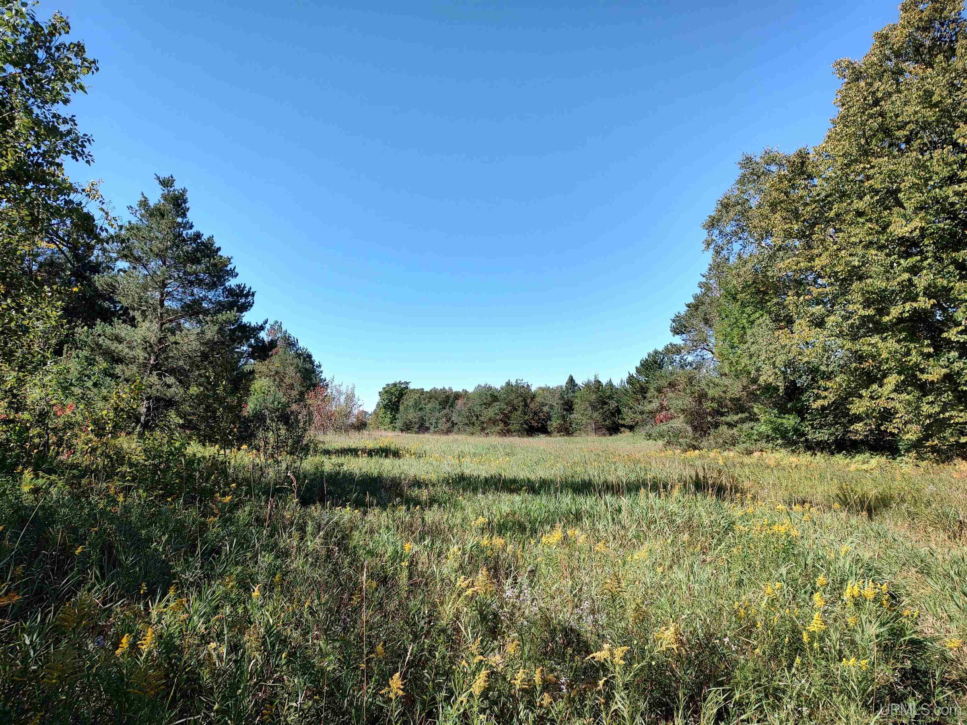 421-acres Lang Road Gulliver, MI 49840 - Photo 1 of 31 Gallery Image 1