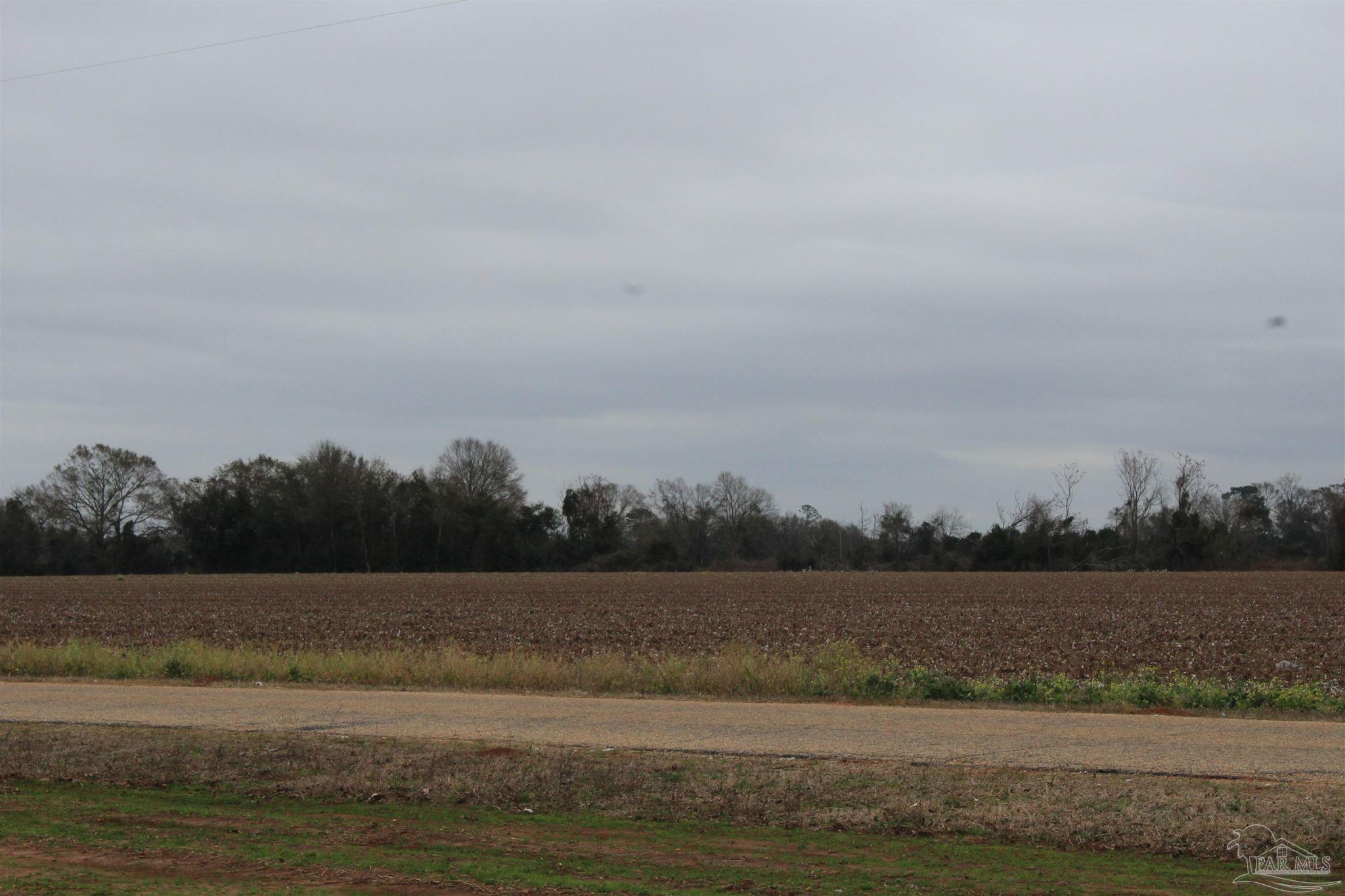Godwin Road Jay, FL 32565 - Photo 1 of 1